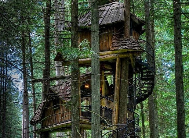 Оригинальный домик на дереве
