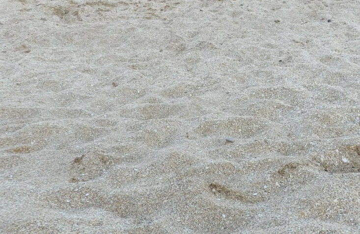 Песок из ракушечников